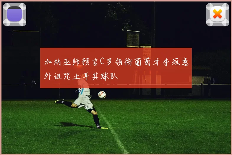 加纳巫师预言C罗领衔葡萄牙夺冠意外诅咒土耳其球队